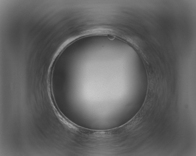 X0000054441478200507291305