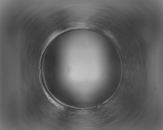 X0000054441479200507291305