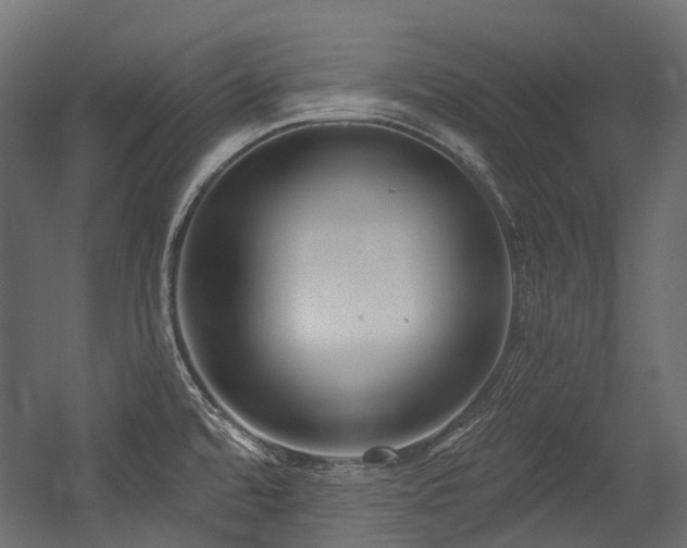 X0000054441480200507291305