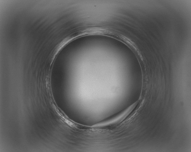X0000054441481200507291305