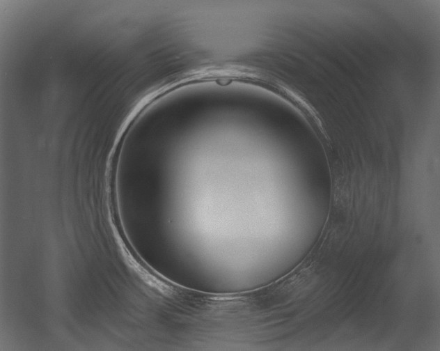 X0000054441483200507291305