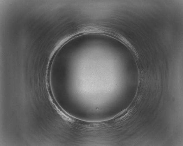 X0000054441485200507291305