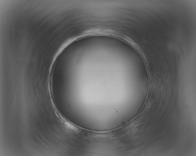 X0000054441486200507291304