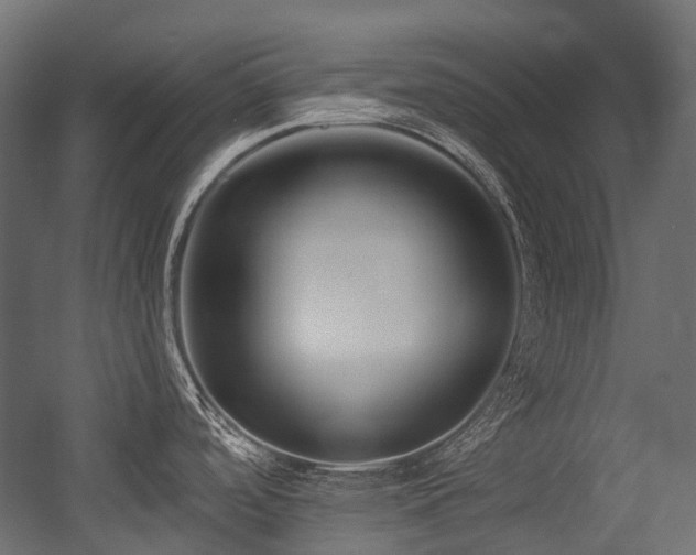 X0000054441488200507291304