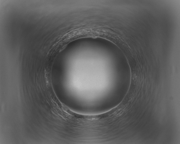 X0000054441490200507291304