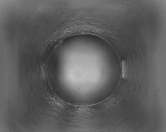 X0000054441491200507291304