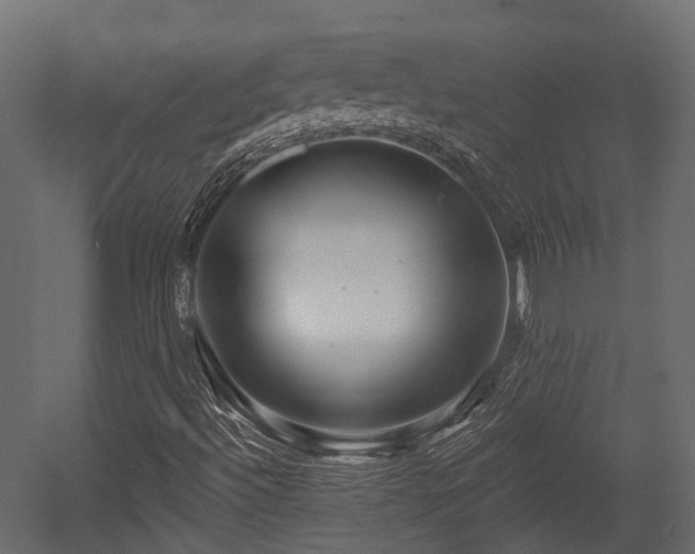 X0000054441492200507291304
