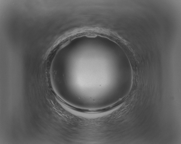 X0000054441496200507291304