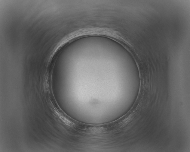 X0000054441498200507291304