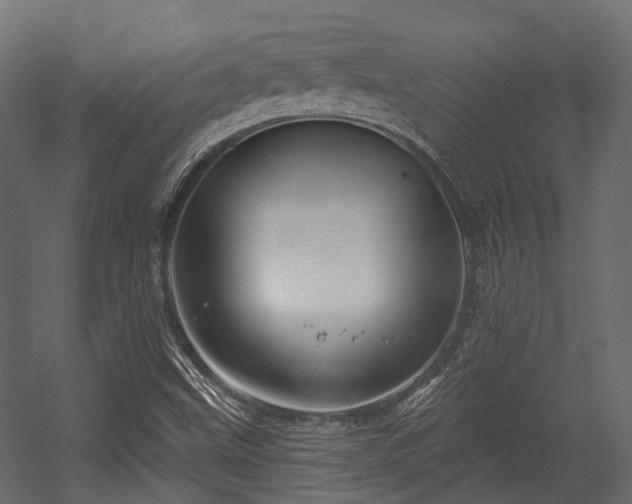 X0000054441499200507291304
