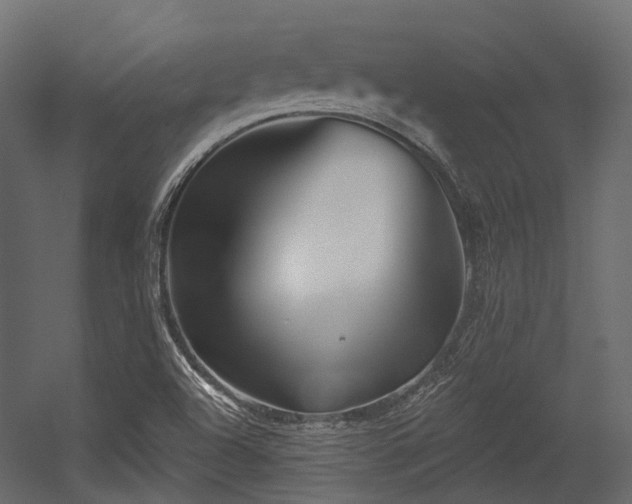 X0000054441504200507291304