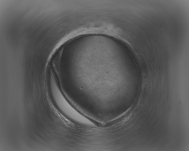 X0000054441506200507291304