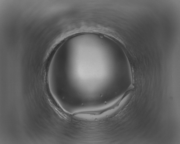 X0000054441507200507291304