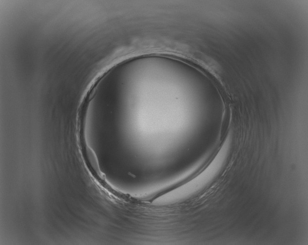 X0000054441508200507291304