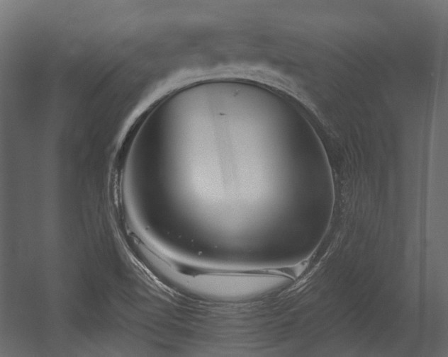 X0000054441510200507291304