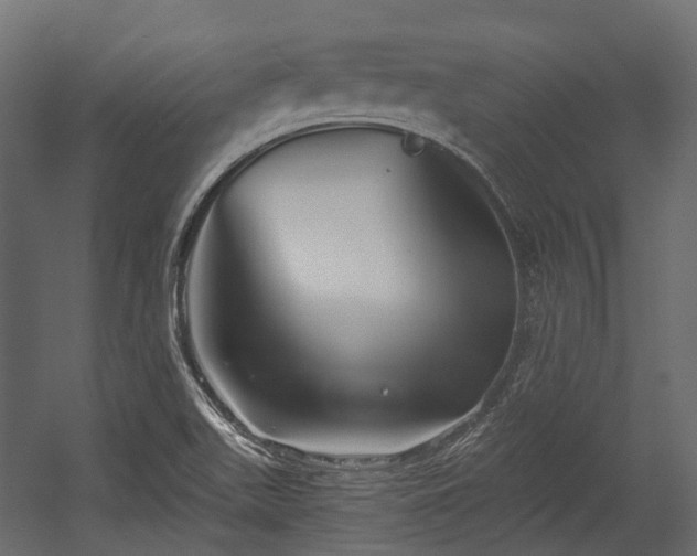 X0000054441511200507291304