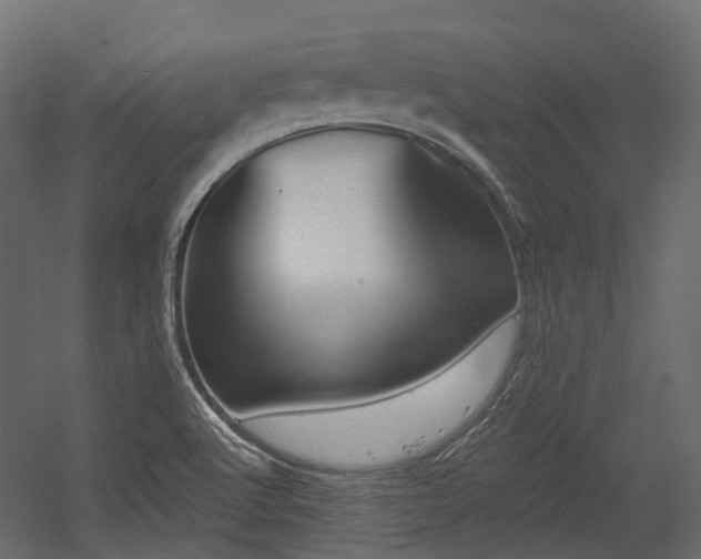 X0000054441512200507291304