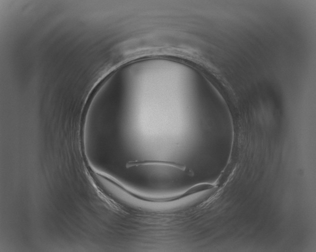 X0000054441513200507291304