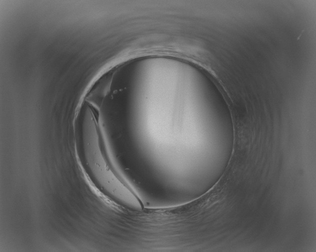 X0000054441515200507291304