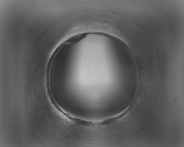 X0000054441518200507291304