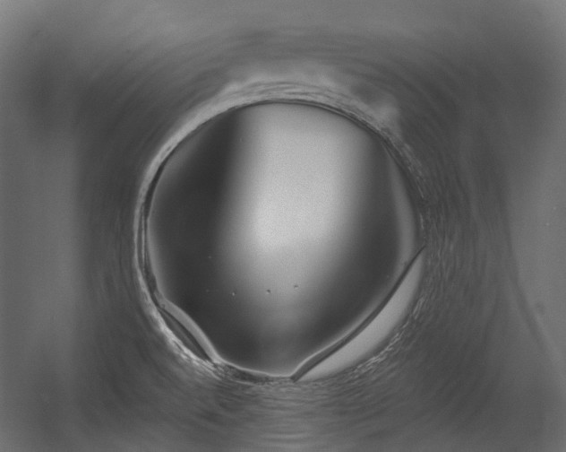 X0000054441520200507291304