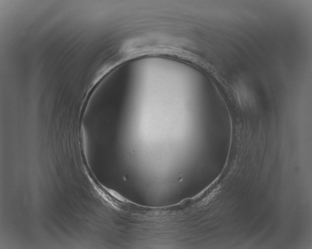 X0000054441521200507291304