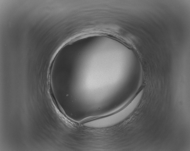 X0000054441524200507291304