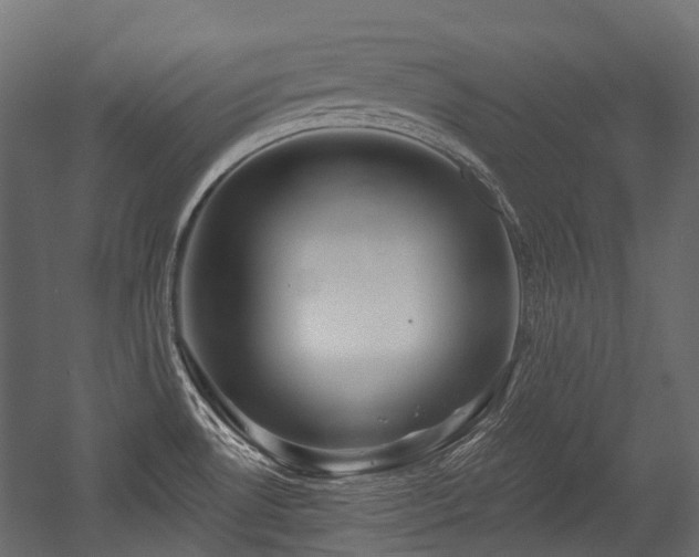 X0000054441530200507291304