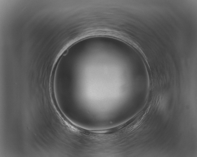 X0000054441533200507291304