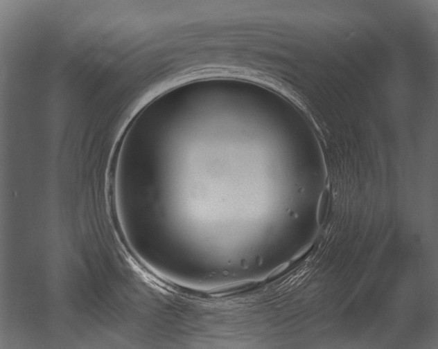X0000054441535200507291304