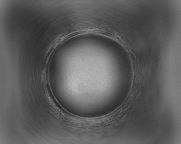 X0000054440002200508011442