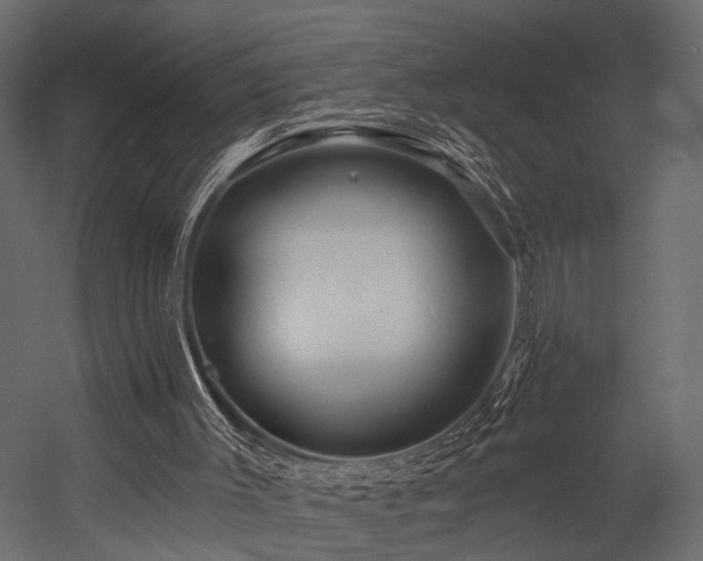 X0000054440003200508011442