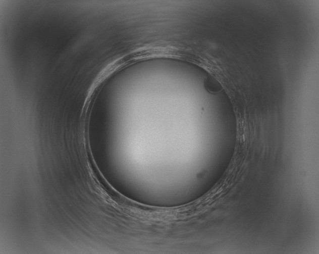 X0000054440004200508011442