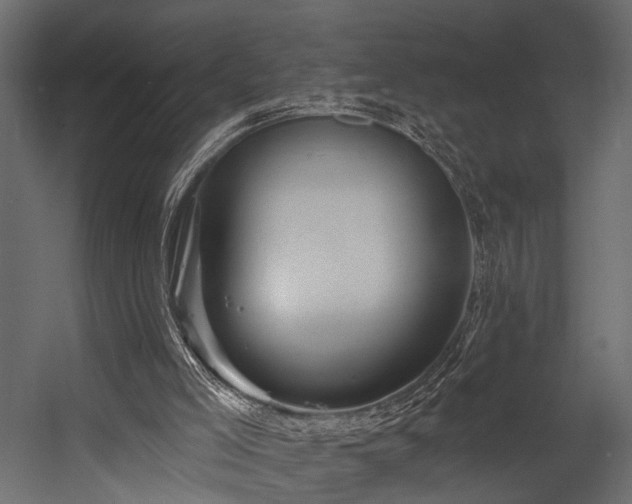 X0000054440005200508011442