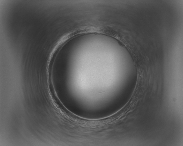 X0000054440006200508011442