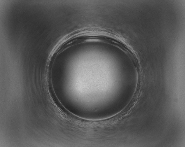 X0000054440007200508011442