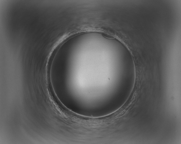 X0000054440008200508011442