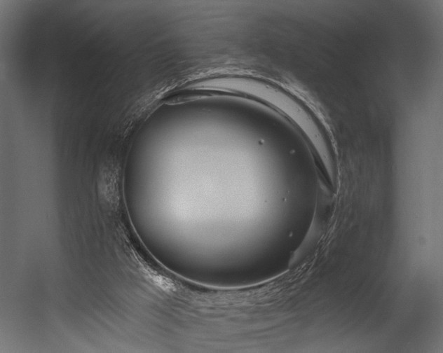 X0000054440009200508011442