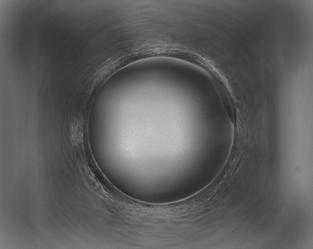 X0000054440010200508011442