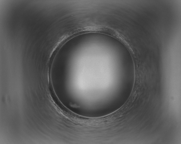 X0000054440011200508011442