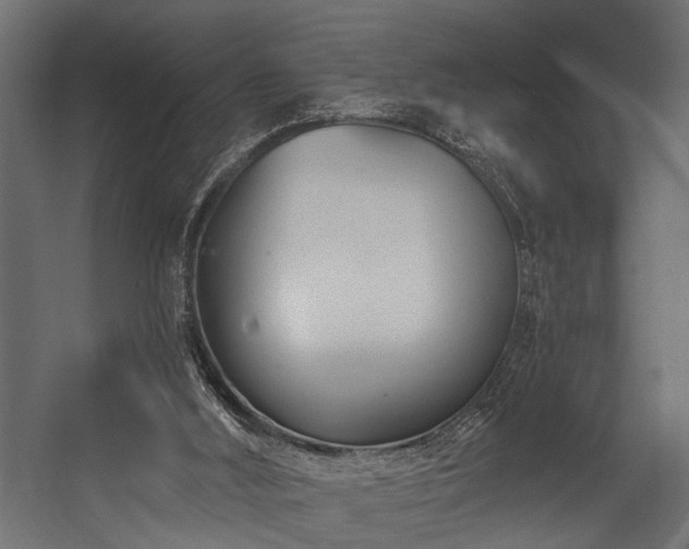 X0000054440012200508011442