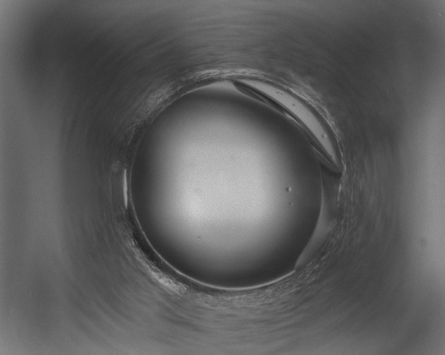 X0000054440013200508011442