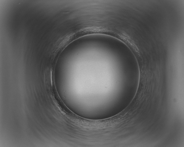 X0000054440014200508011442