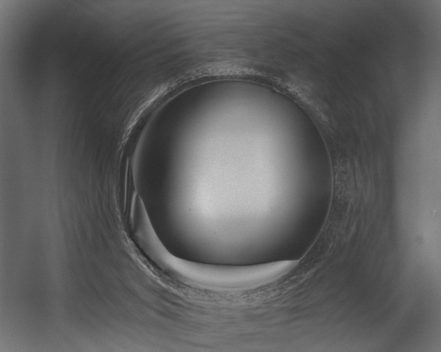 X0000054440015200508011442