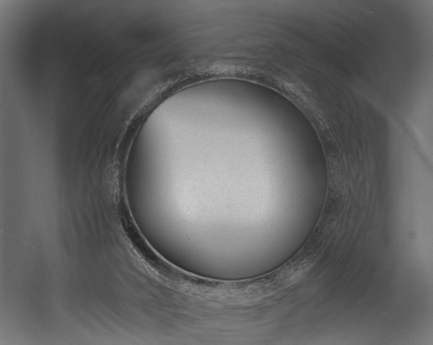 X0000054440016200508011442