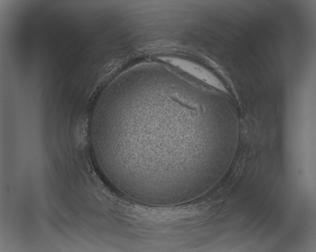 X0000054440018200508011442