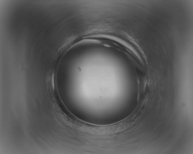 X0000054440019200508011442