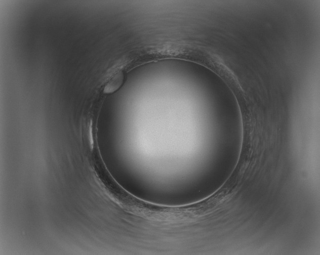 X0000054440020200508011442