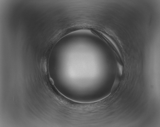 X0000054440021200508011441