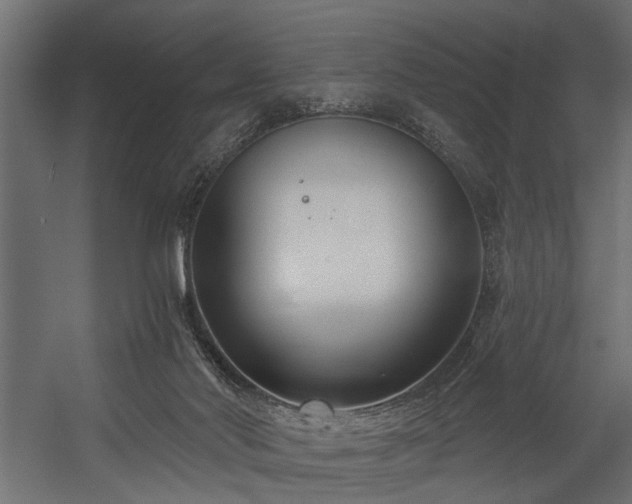 X0000054440022200508011441